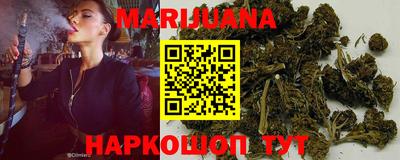 прущие грибы Абинск