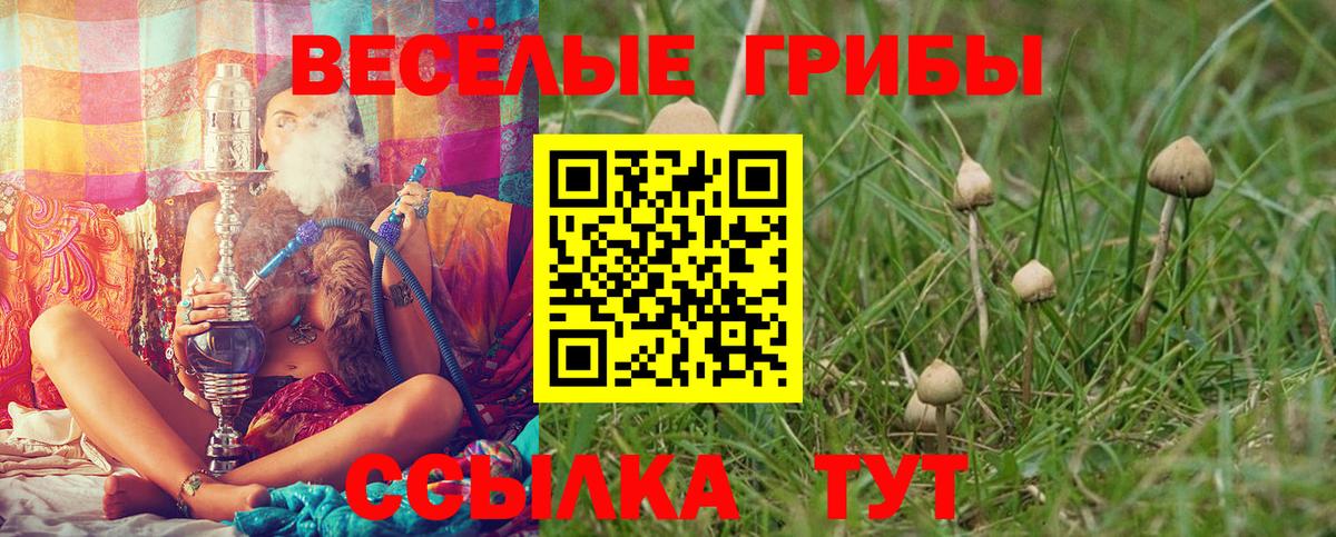 Галлюциногенные грибы GOLDEN TEACHER Алушта